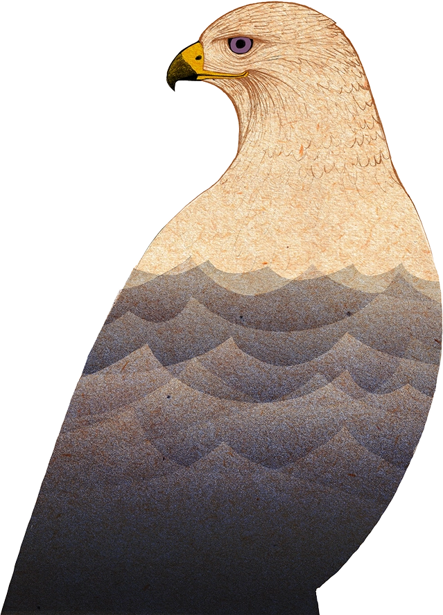 Element graficzny stopki